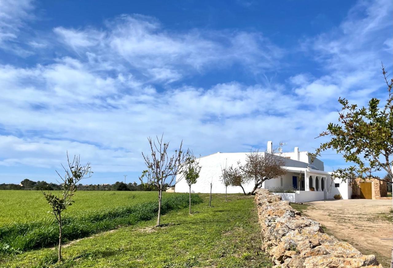 Can Marianet San Ferrán de ses Roques Ngoại thất bức ảnh